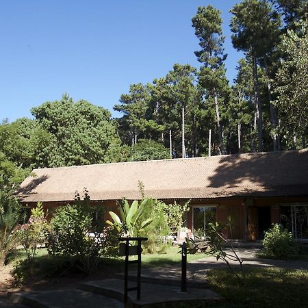 Hotel Lodge Au Bois Vert Antananarivo International Airport Ivato Exterior foto